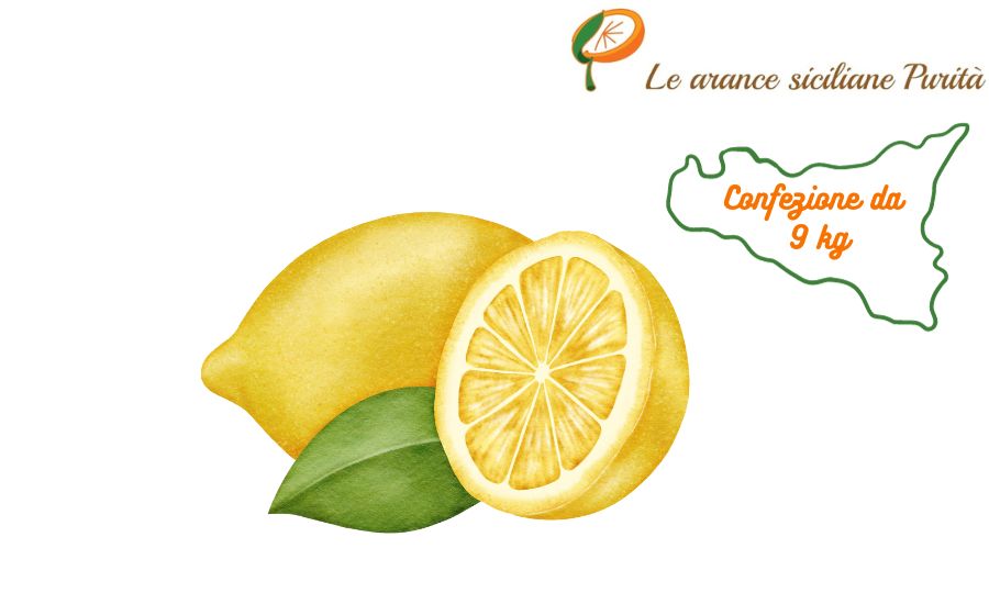 Limoni Confezione da 9kg4